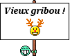 vieux gribou :gribou: